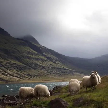 Baile Go Deo. Appartement *